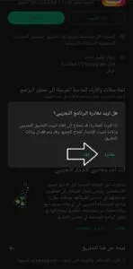 نسخة البيتا