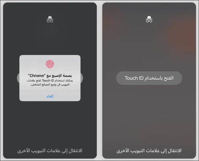 التصفح الخفي